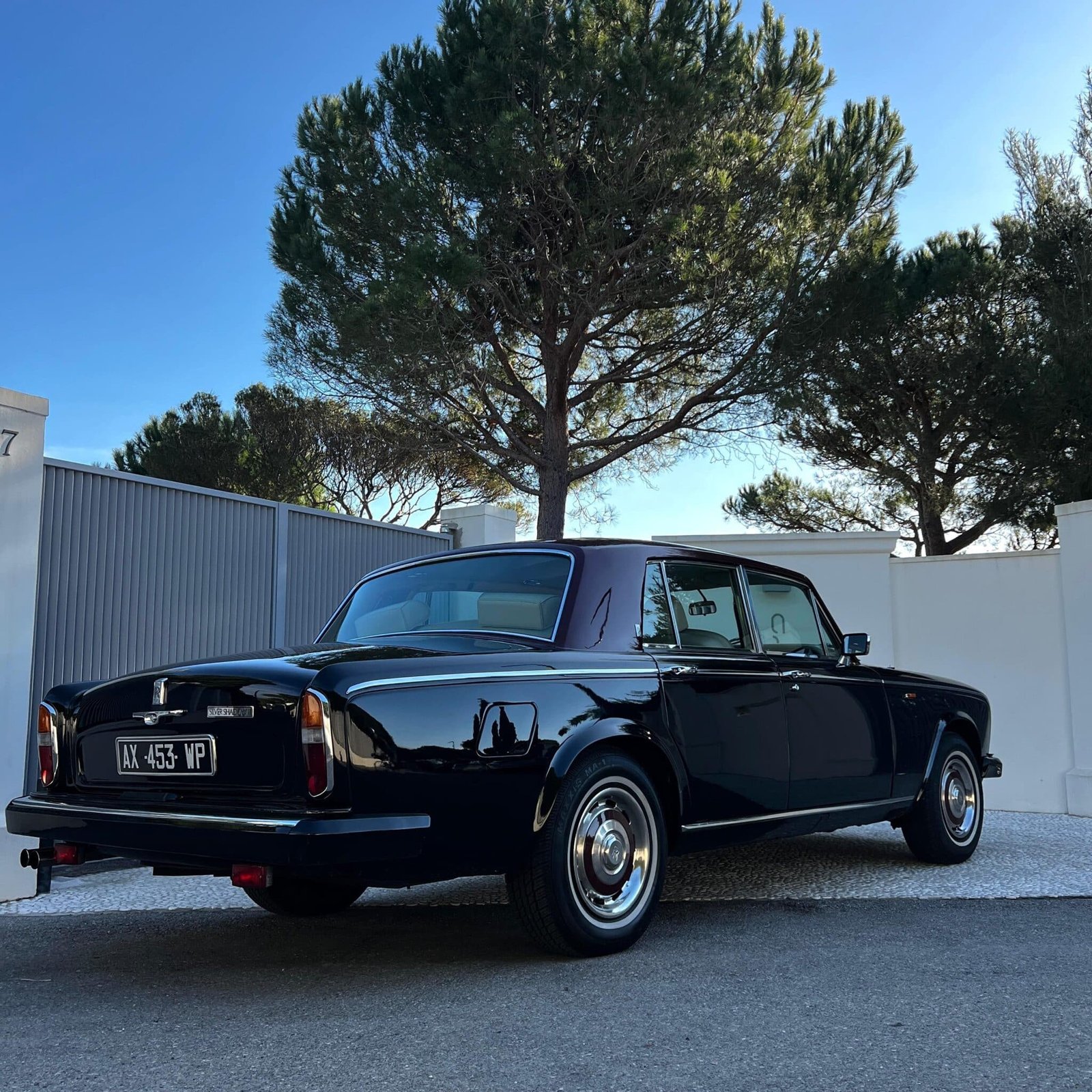 Rent Rolls in Monaco